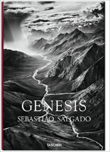 Genesis by Salgado