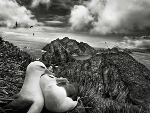 Genesis_-_por_Sebastiao_Salgado
